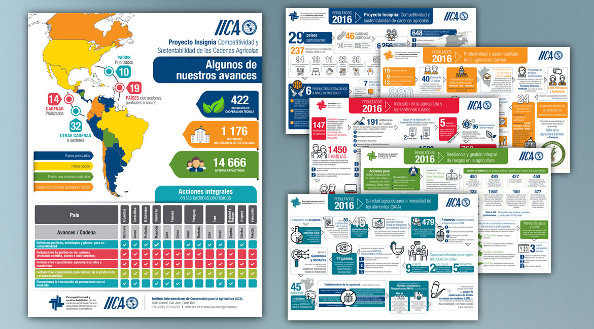 IICA - Fichas Proyecto Insignia