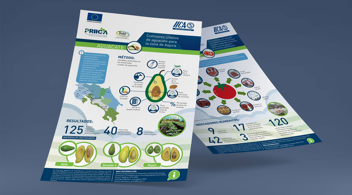 IICA - Diseño de infografías